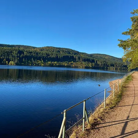 Apartment Gemuetliche Nahe Am Schluchsee